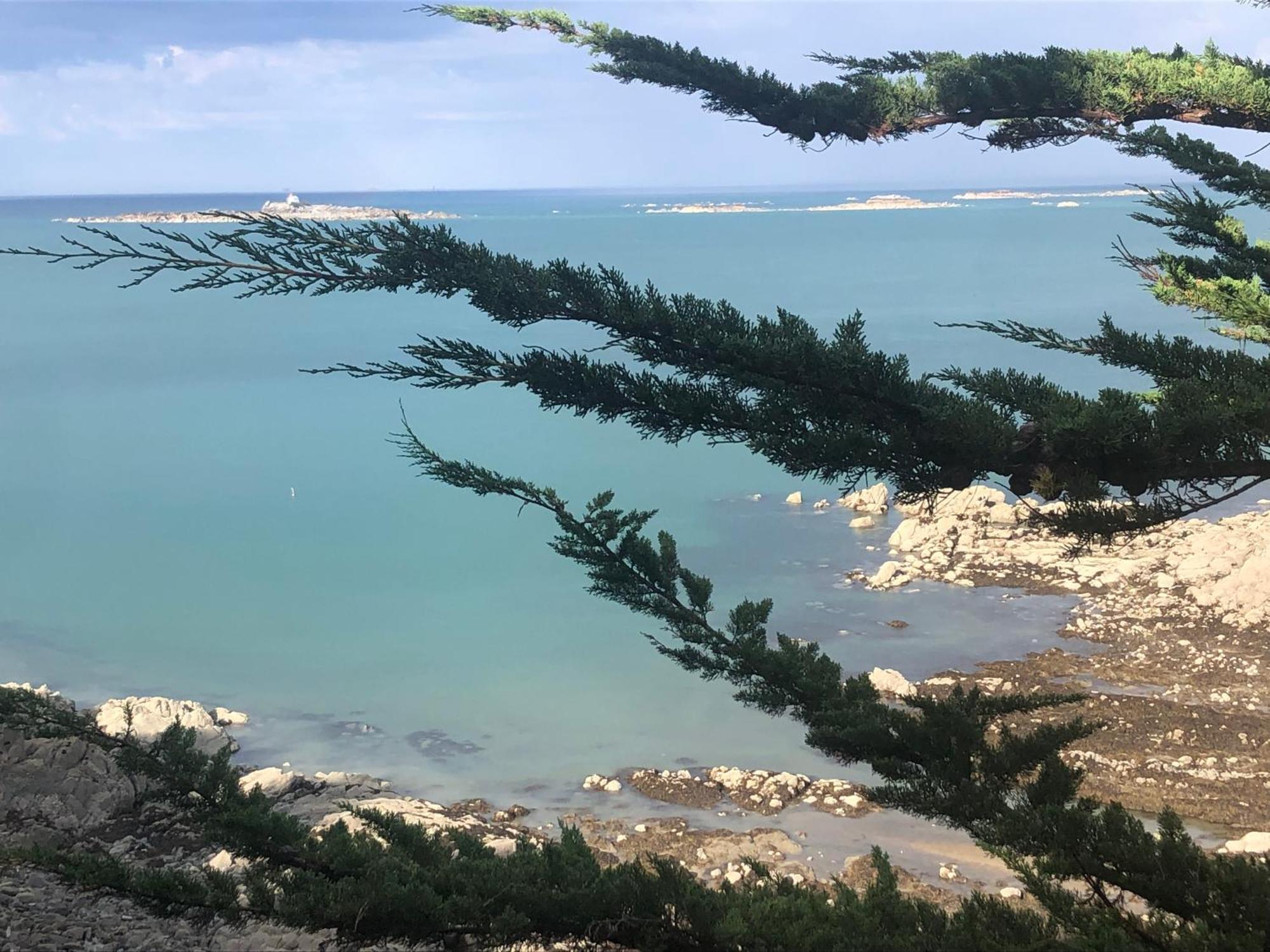 L'Annexe Βίλα Saint-Quay-Portrieux Εξωτερικό φωτογραφία